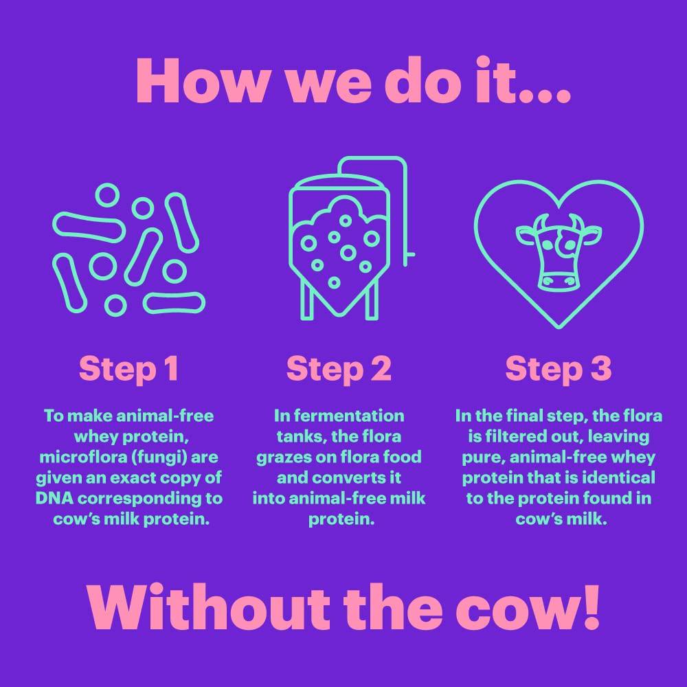 Natreve MOOLESS Animal Free Whey Protein Powder - 20g Lactose Free Protein Powder with Amino Acids - Gluten Free Cookies and Cream, 10 Servings