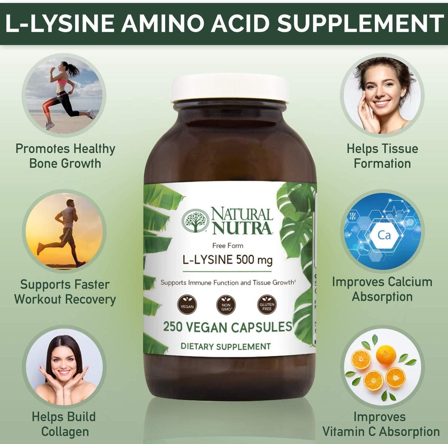 Natural Nutra L Lysine HCl, Promotes Healthy Bone Growth, Helps Built Collagen, Tissue Formation, Improve Calcium Absorption, Alpha Amino Acid Supplement, Non GMO, Vegan, 500 mg, 250 Capsules.