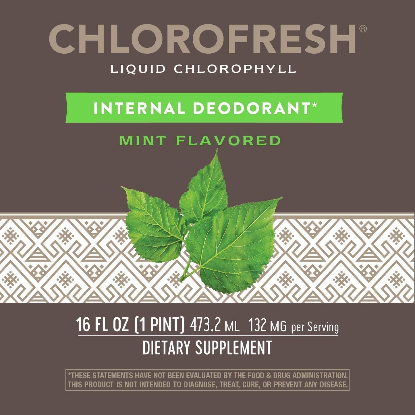 Nature's Way Chlorofresh Liquid Chlorophyll Internal Deodorant 16 fl oz, Mint Flavor (Packaging May Vary)