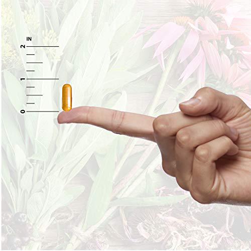 Nature's Answer, Chasteberry, Vitex Agnus-Castus, 400 mg, 90 Vegetarian Capsules