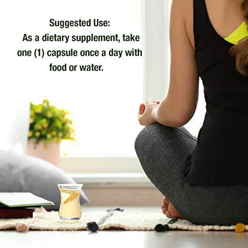 Nature's Answer, Chasteberry, Vitex Agnus-Castus, 400 mg, 90 Vegetarian Capsules