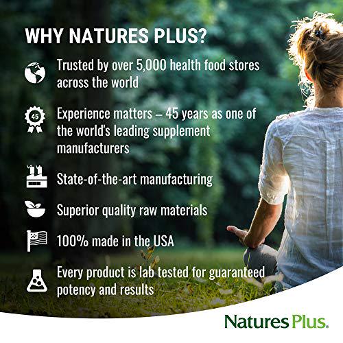 Natures Simply Natural SPIRU-TEIN Shake - Unsweetened Chocolate - 0.82 lb Protein Powder- Meal Replacement - Natural Energy - Supports Diabetic Lifestyle - Vegetarian, 16 Servings