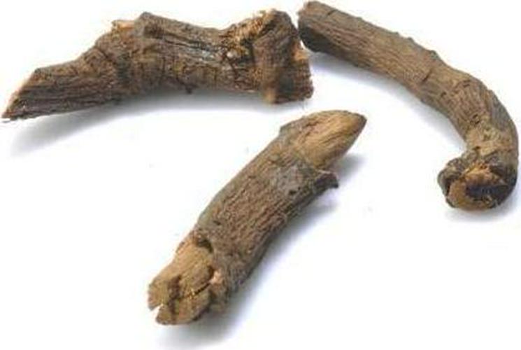 Naturevibe Botanicals Chitrak Powder (8 Ounces) - 100% Pure and Natural...[Packaging May Vary]