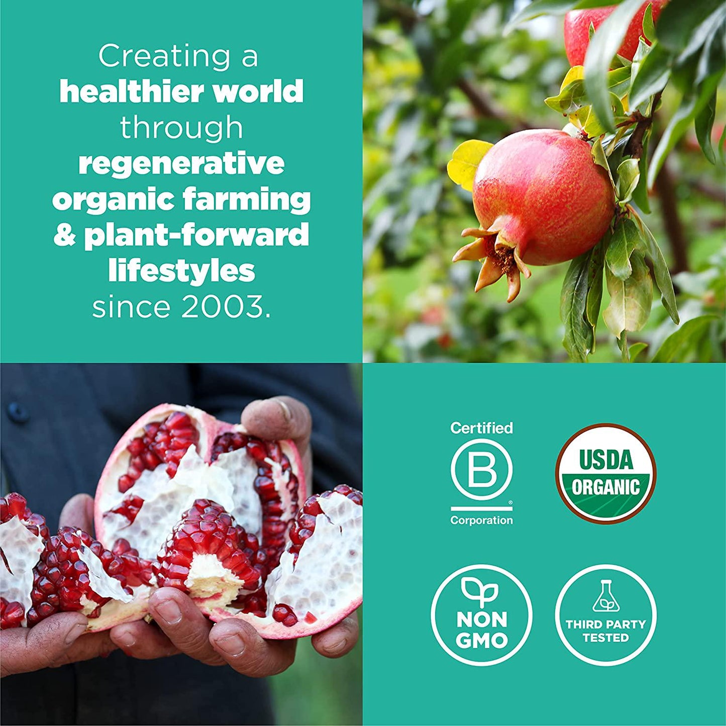 Navitas Organics Pomegranate Powder, 8oz. Bag, 45 Servings Organic, Non-GMO, Freeze-Dried, Gluten-Free