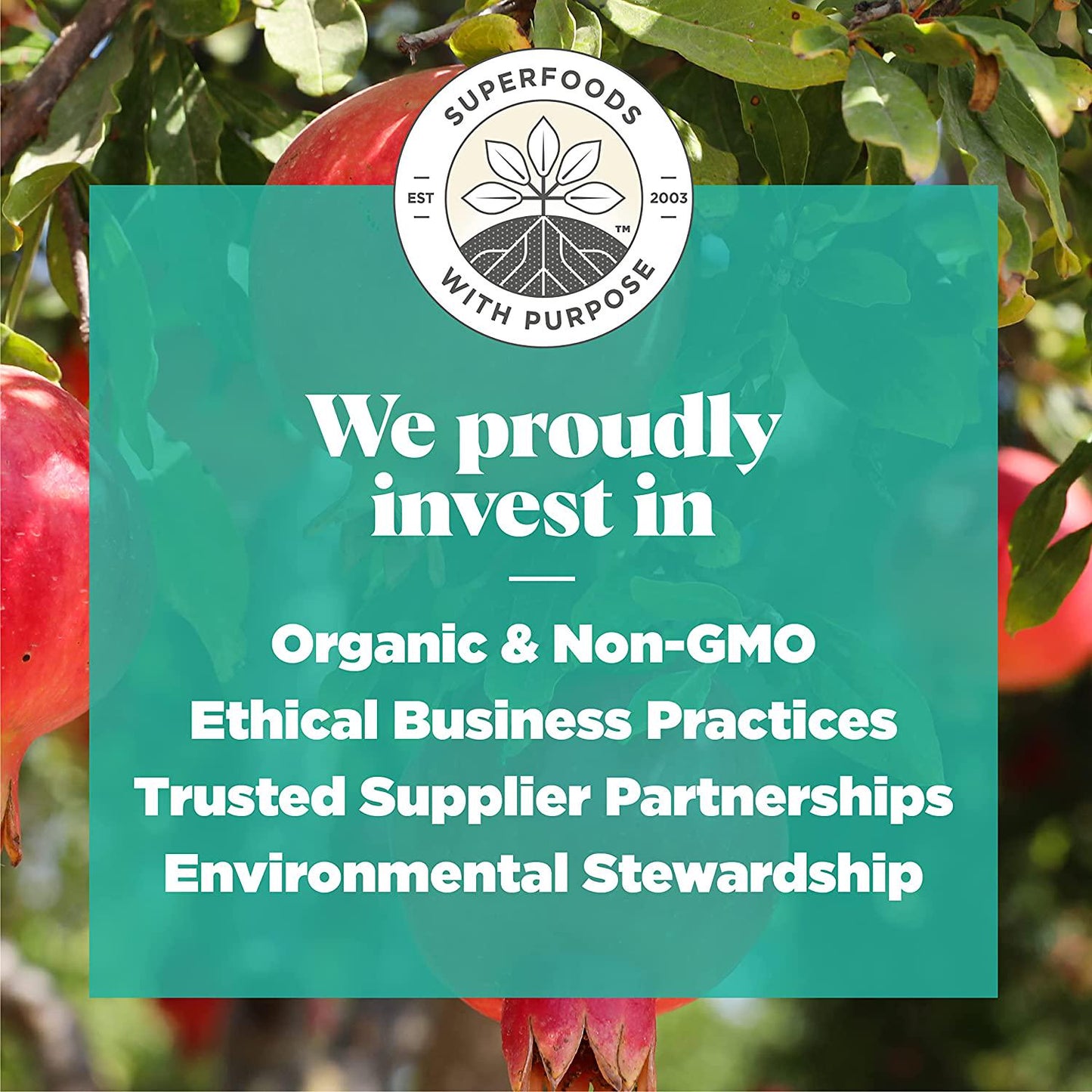 Navitas Organics Pomegranate Powder, 8oz. Bag, 45 Servings Organic, Non-GMO, Freeze-Dried, Gluten-Free