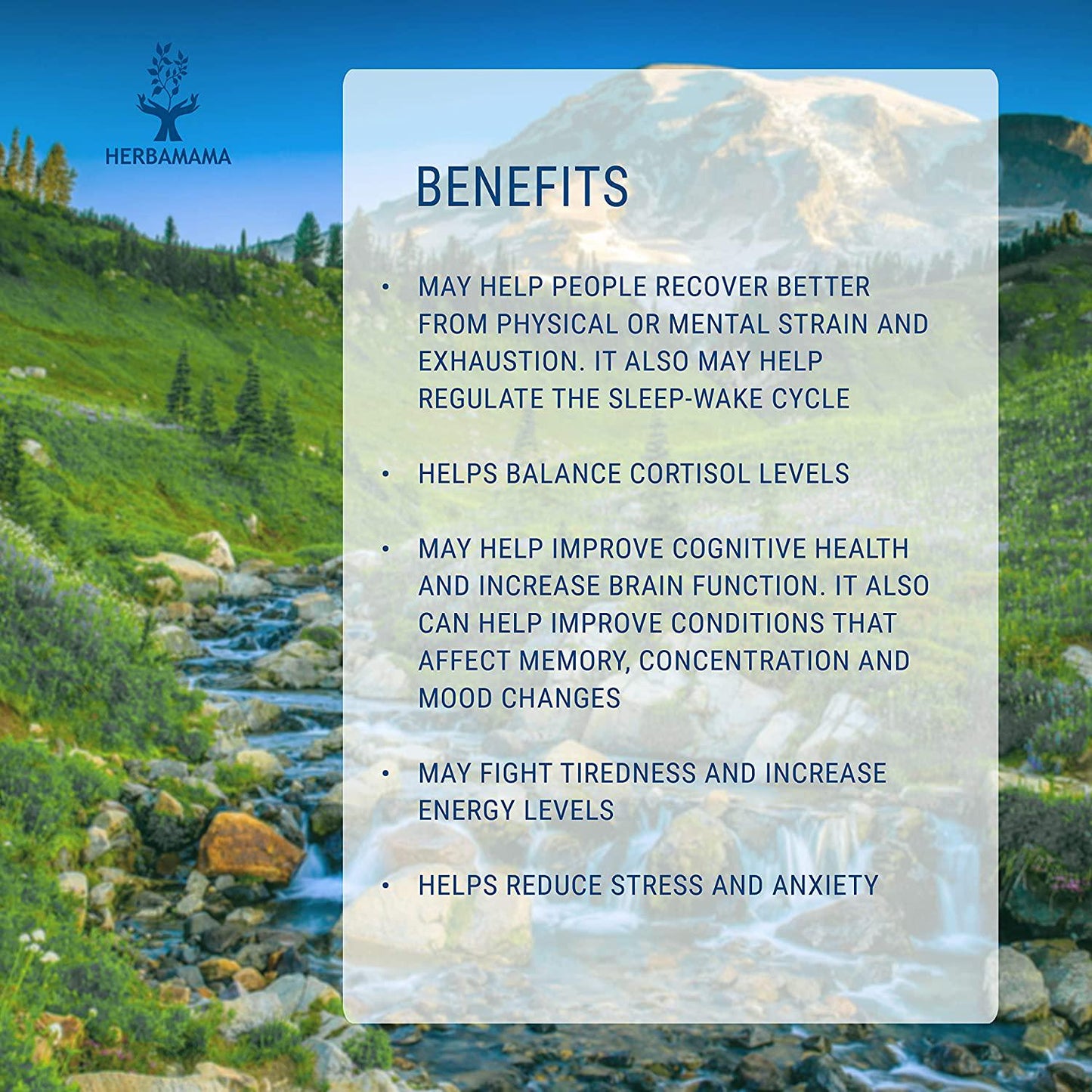 Nerve Support Liquid Extract 2 fl oz | Promotes Healthy Nervous System | Brain Booster for Enhanced Mental Focus, Memory, Clarity | Anxiety and Stress Relief | Sleep Aid