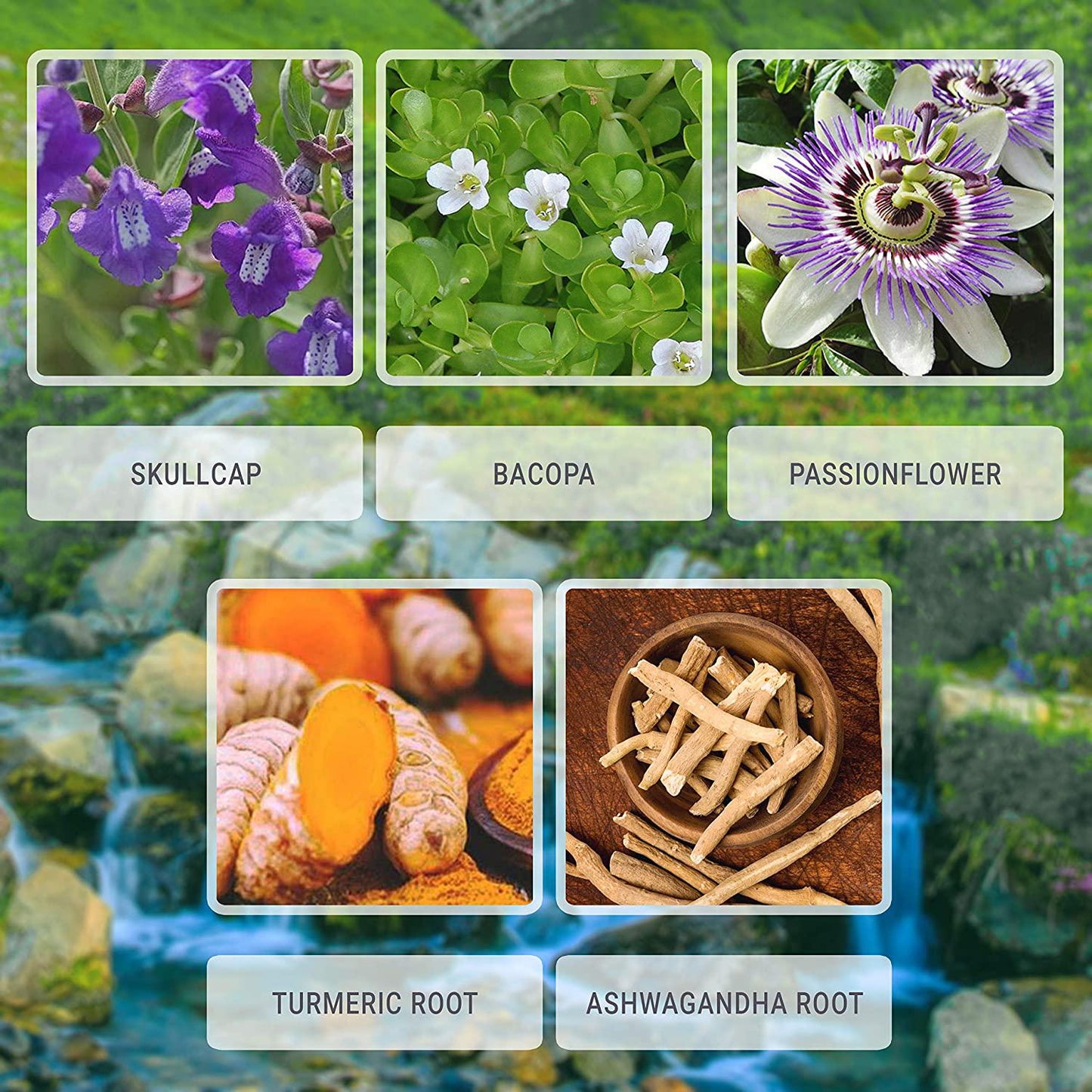 Nerve Support Liquid Extract 2 fl oz | Promotes Healthy Nervous System | Brain Booster for Enhanced Mental Focus, Memory, Clarity | Anxiety and Stress Relief | Sleep Aid