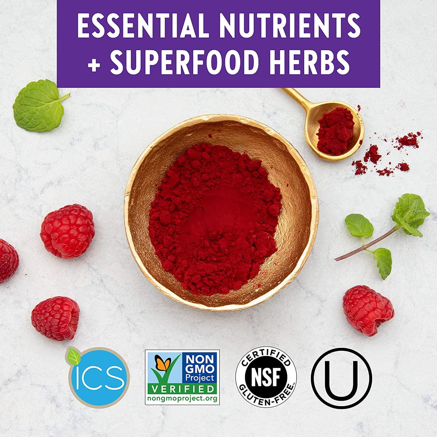 New Chapter Multivitamin for Women 50 plus - Every Woman's One Daily 55+ with Fermented Probiotics + Whole Foods + Astaxanthin + Vitamin D3 + B Vitamins + Organic Non-GMO Ingredients - 96 ct