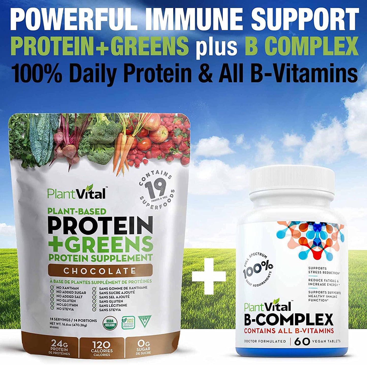 New! Plant Based Chocolate Protein Powder w 19 Superfoods, Veggies and Probiotics. Raw Cocoa, Kale, Beets, Spirulina and More! Vegan, Organic, Non-GMO, Gluten Free. 16oz