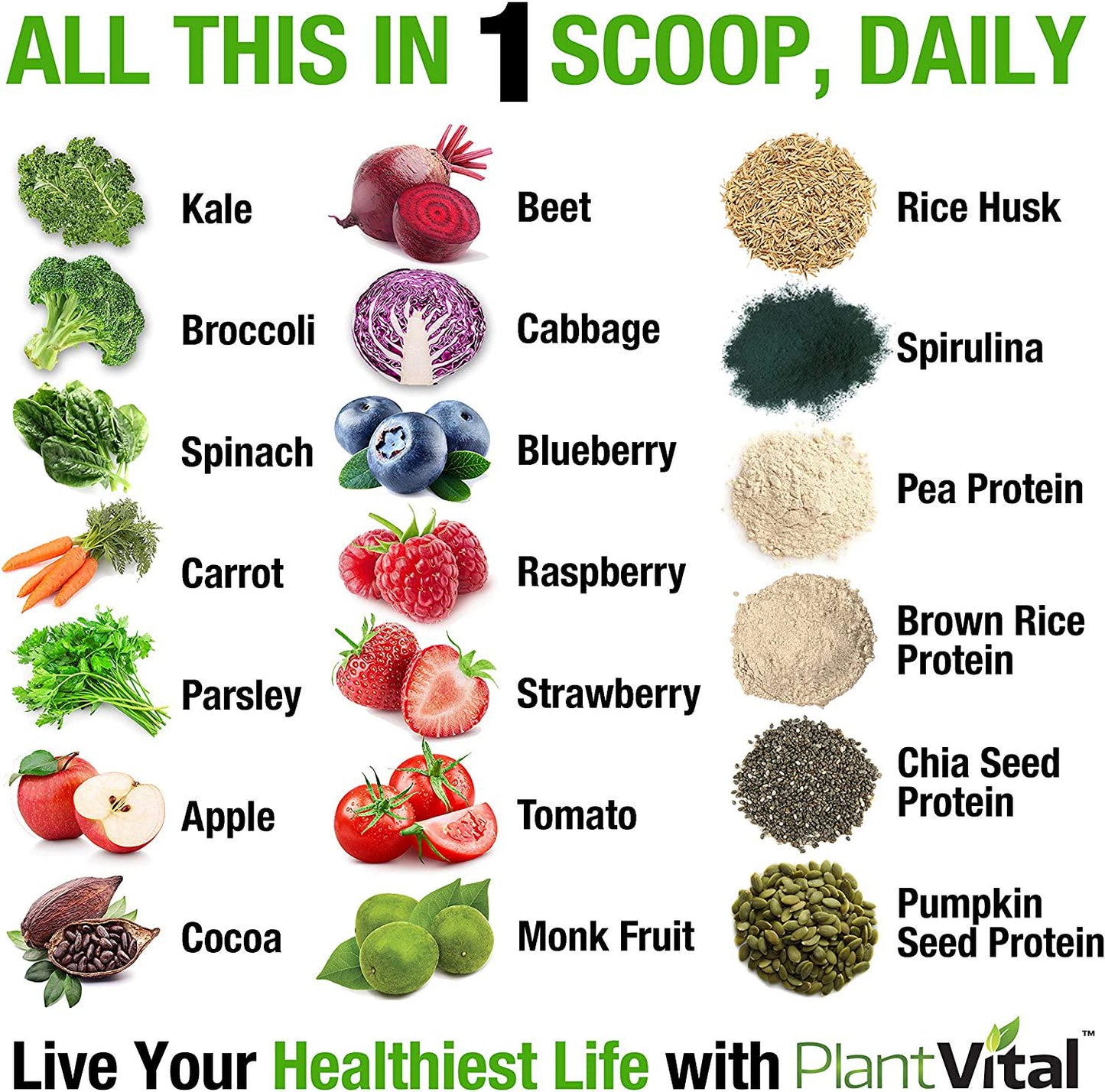 New! Plant Based Chocolate Protein Powder w 19 Superfoods, Veggies and Probiotics. Raw Cocoa, Kale, Beets, Spirulina and More! Vegan, Organic, Non-GMO, Gluten Free. 16oz