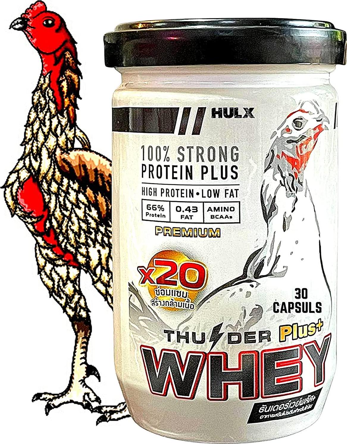 New X3 Faster 30 Capsules, WHEY Protein 68% Rooster Booster Vitamin Health Chicken Supplement for Build Body Big Muscle and Mass Gain, Power Feed Cock Fighting Gamecocks, Bird, Good Breeding, Hen Food