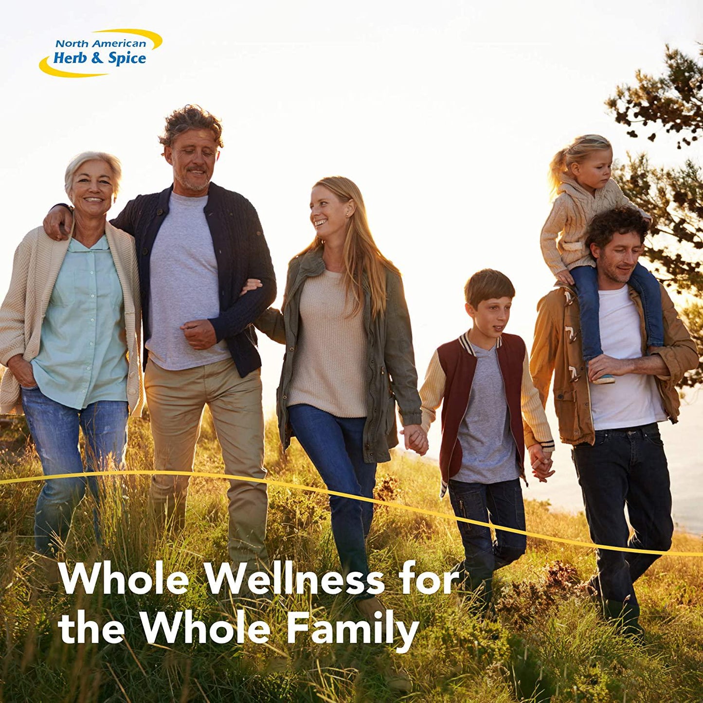 North Am. Herb and Spice Super Strength Oreganol P73, 0.45 Ounce