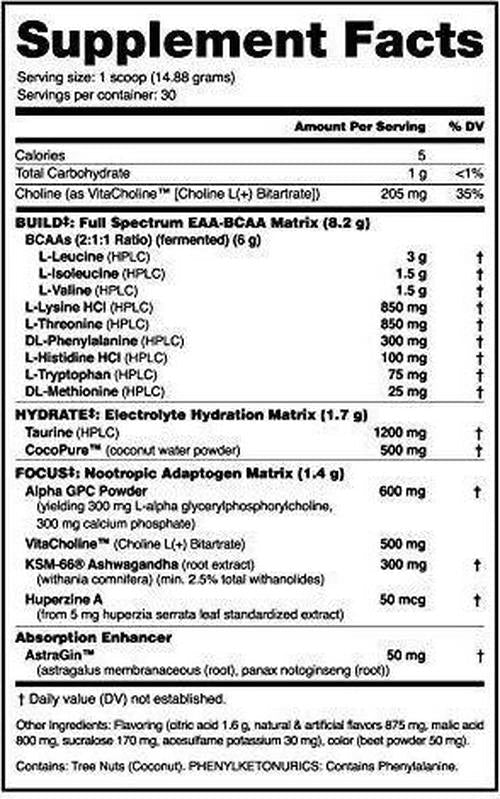 NutraBio Alpha EAA - All-Day Aminos - Recovery, Energy, Focus, and Hydration Supplement - Full Spectrum EAA BCAA Matrix, Electrolytes, Nootropics, Coconut Water - 30 Servings - Dragon Fruit