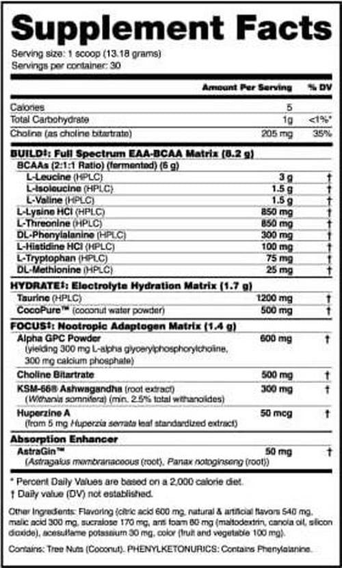 NutraBio Alpha EAA - All-Day Aminos - Recovery, Energy, Focus, and Hydration Supplement - Full Spectrum EAA BCAA Matrix, Electrolytes, Nootropics, Coconut Water - 30 Servings - Blueberry Lemonade