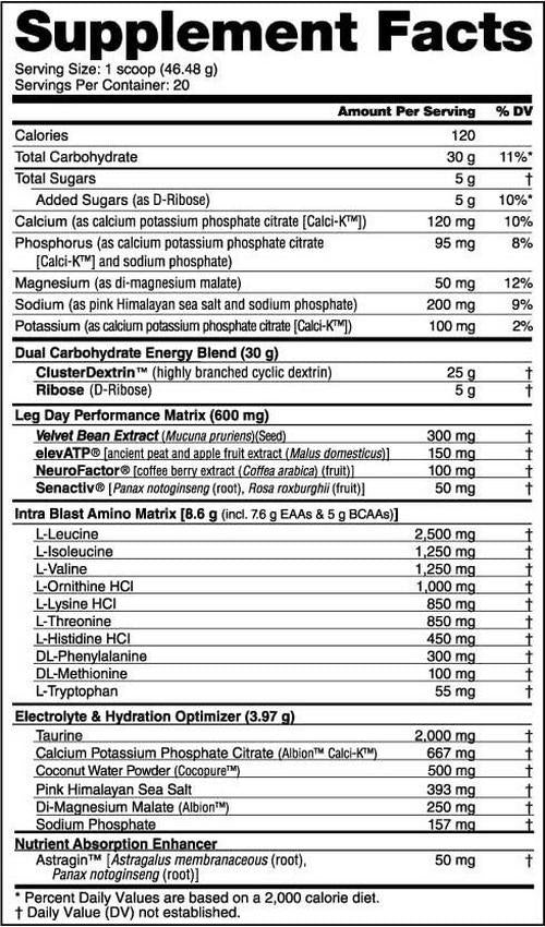 NutraBio Leg Day Intra Carb Supplement Advanced Carbohydrate Complex Amino Acid EAA/BCAA Formula Electrolyte Blend for Recovery and Performance, Peach Mango, 20 Servings