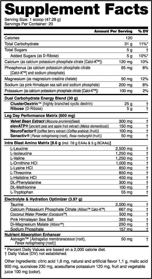NutraBio Leg Day Intra Carb Supplement Advanced Carbohydrate Complex Amino Acid EAA/BCAA Formula Comprehensive Electrolyte Blend for Recovery and Performance Grape Berry