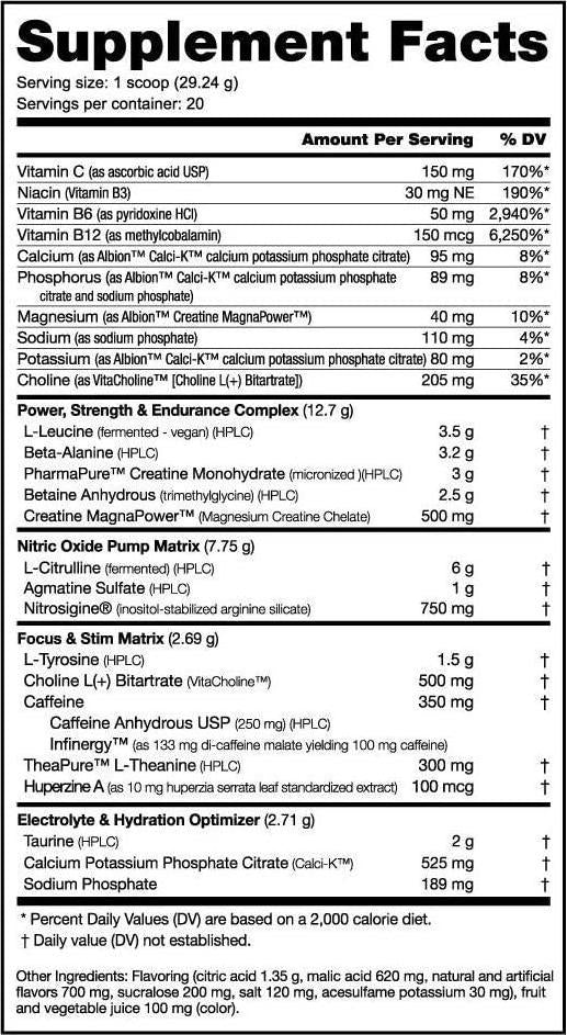 NutraBio PRE Workout Powder - Sustained Energy, Mental Focus, Endurance - Clinically Dosed Formula - Beta Alanine, Creatine, Caffeine, Electrolytes - 20 Servings - Grape Berry Crush