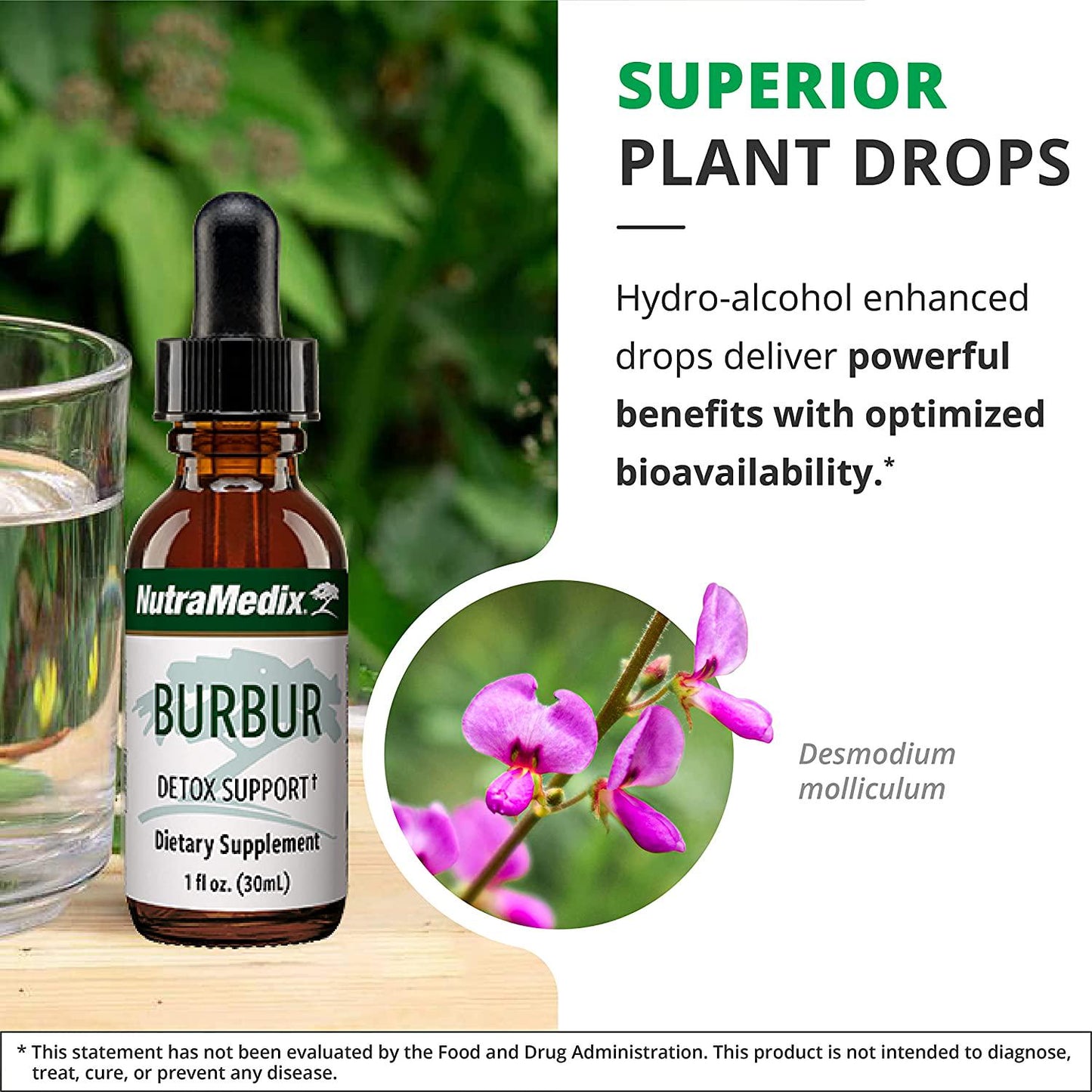 NutraMedix Burbur - Liquid Detox and Cleansing Support Drops - Desmodium Molliculum Extract - Herbal Tincture May Help Ease Herx-Like Reactions, Promote Focus and Fight Occasional Brain Fog (1oz / 30ml)