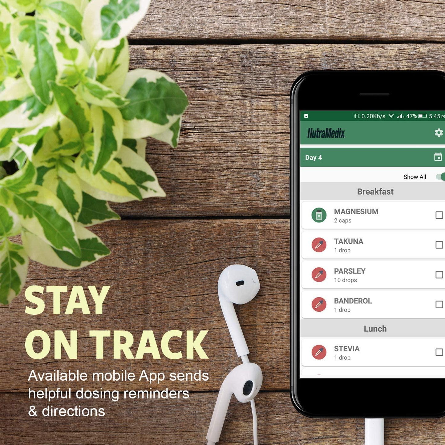 NutraMedix Cowden Support Program Month 2 - Bioavailable Herbal Detox Protocol Including Banderol, Burbur-Pinella, Samento Cat's Claw Tincture and More - Supports Immune System (15 Piece Set)