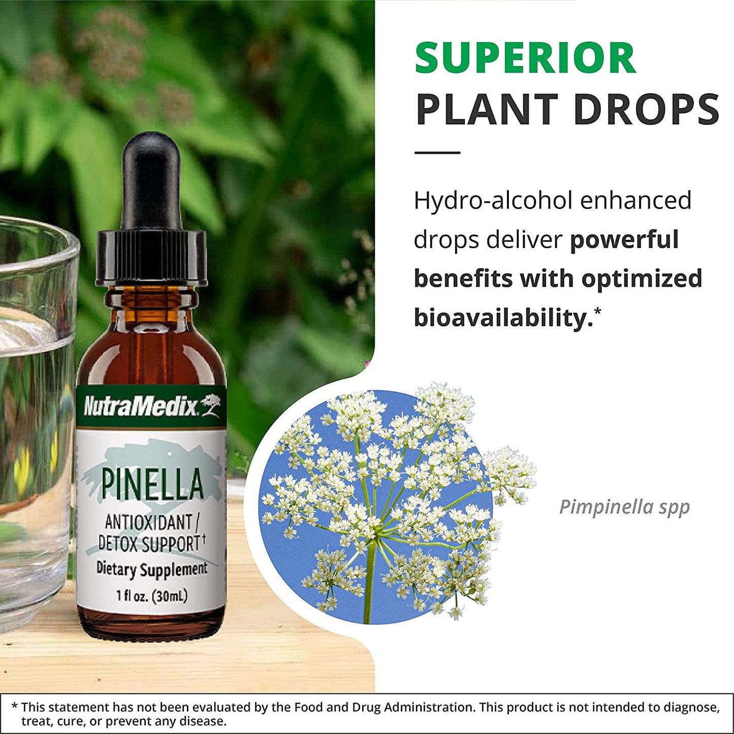 NutraMedix Pinella - Liquid Anise Drops to Help Support Detox, Cleansing, Concentration and Brain Health - Pimpinella Anisum Extract May Help to Fight 'Brain Fog (1oz / 30ml)