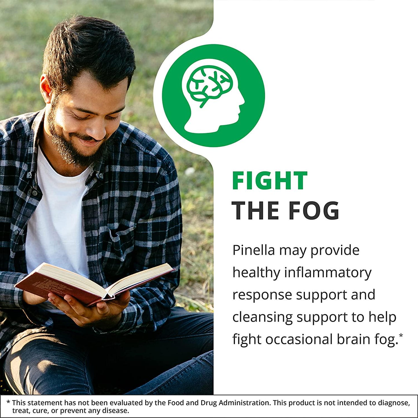 NutraMedix Pinella - Liquid Anise Drops to Help Support Detox, Cleansing, Concentration and Brain Health - Pimpinella Anisum Extract May Help to Fight 'Brain Fog (1oz / 30ml)