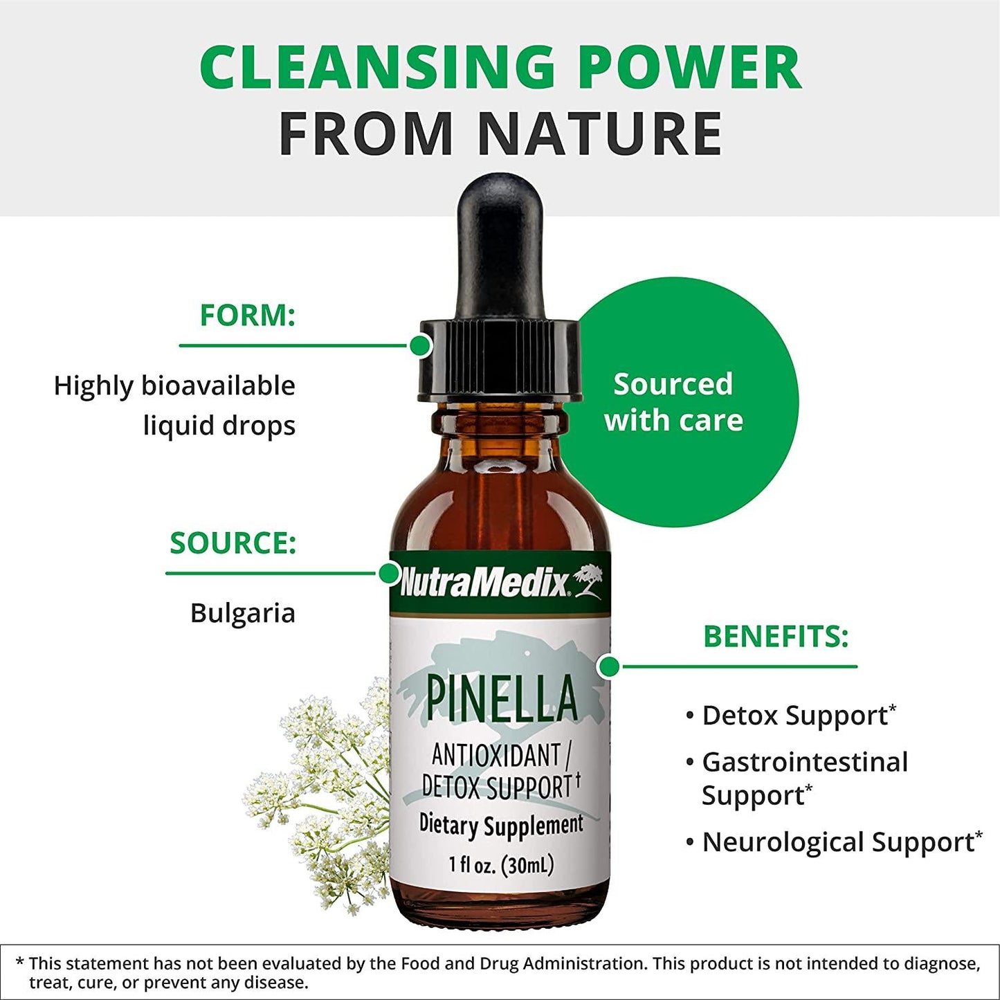 NutraMedix Pinella - Liquid Anise Drops to Help Support Detox, Cleansing, Concentration and Brain Health - Pimpinella Anisum Extract May Help to Fight 'Brain Fog (1oz / 30ml)