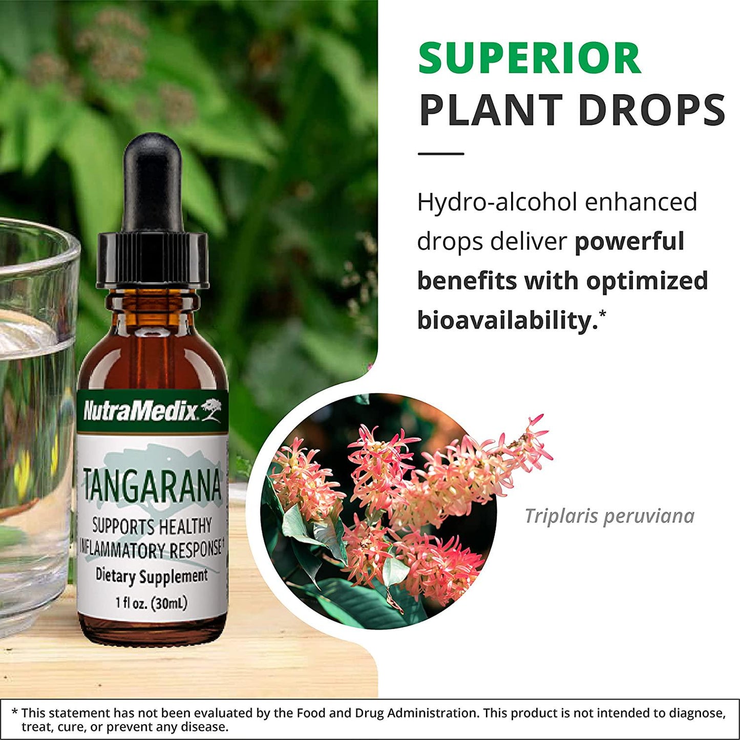 NutraMedix Tangarana Drops - Liquid Extract for Inflammatory Response and Immunity Support - Bioavailable Herbal Supplement for Microbial Support with Palo Santo Bark Liquid Extract (1oz / 30ml)