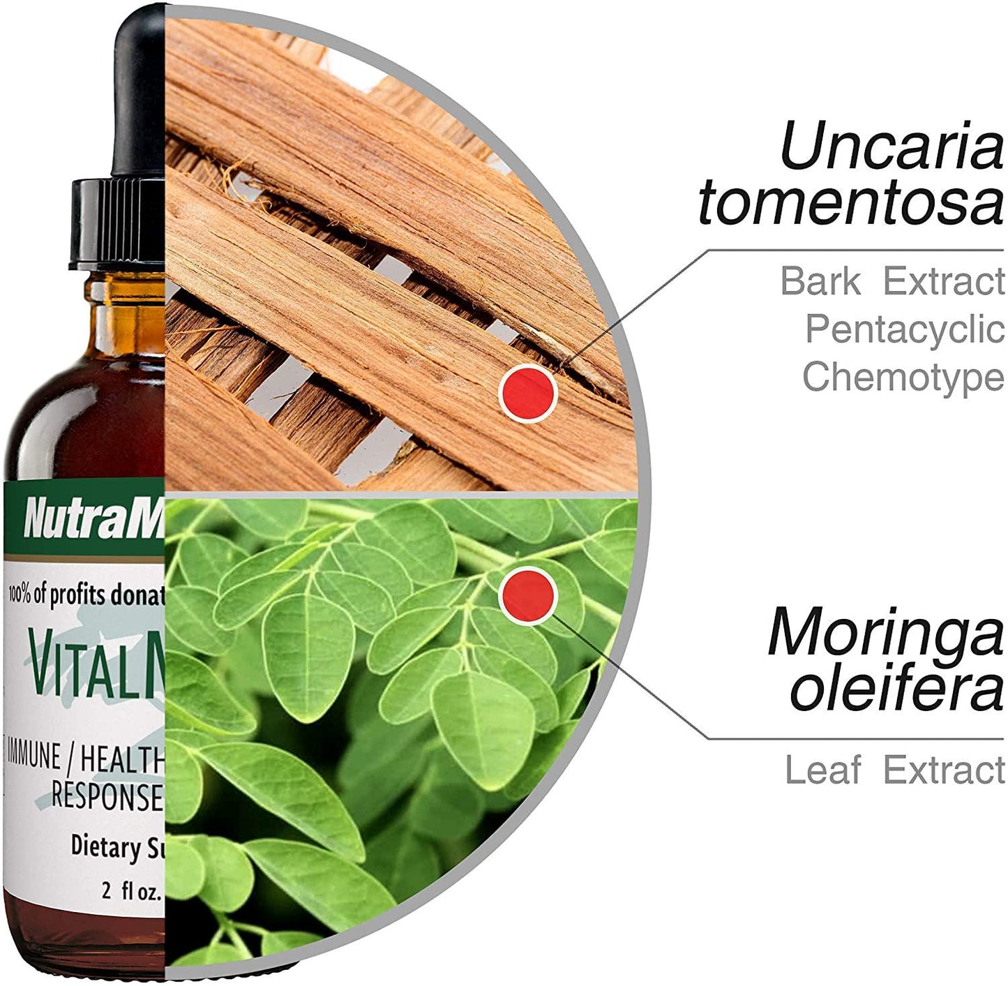 NutraMedix VitalMedix - Bioavailable Liquid Cat's Claw and Moringa Leaf Extract Tincture Drops for Immune System Support and Vitality - Liquid Herbal Supplement Tincture (2oz)