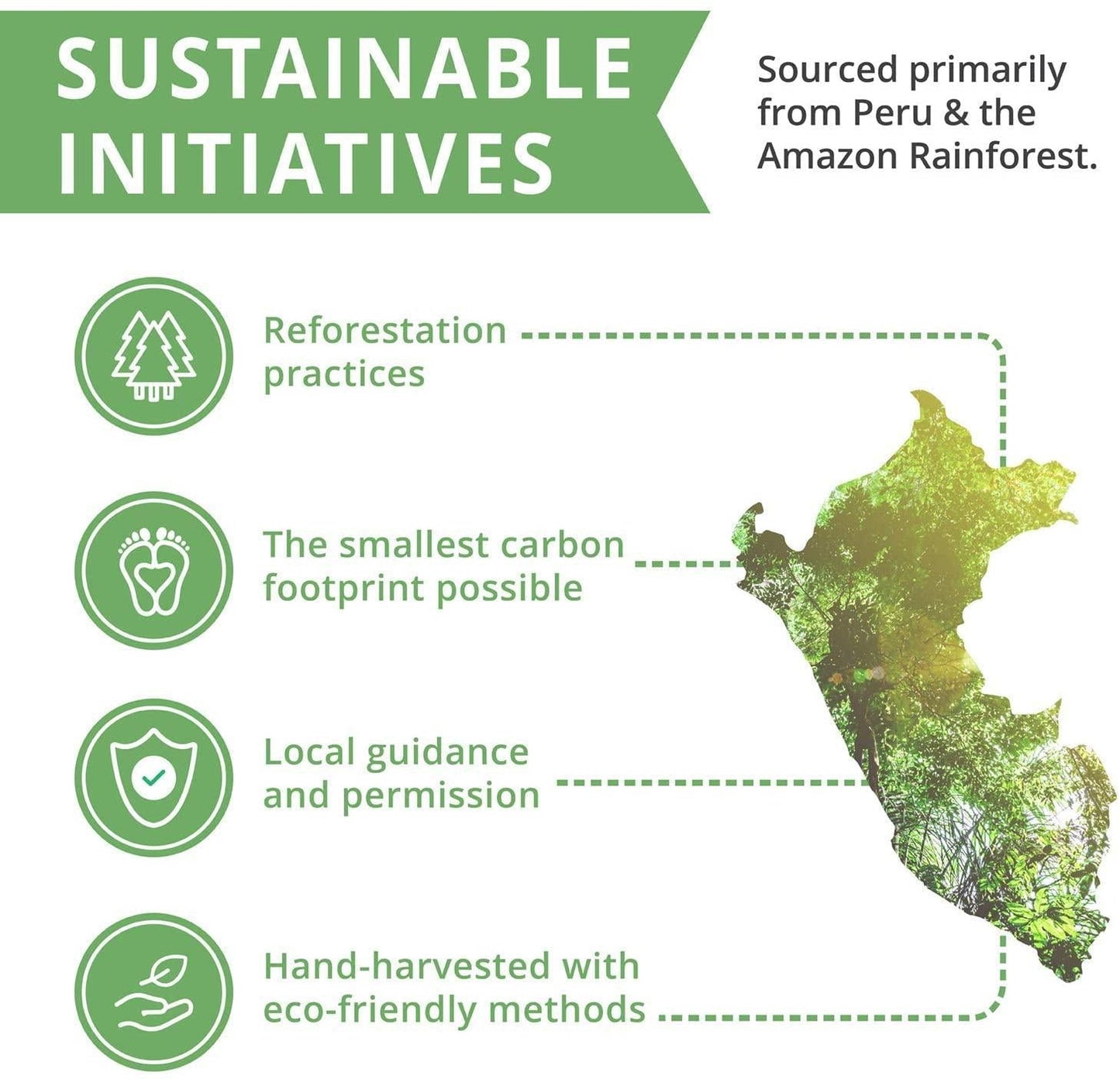 NutraMedix VitalMedix - Bioavailable Liquid Cat's Claw and Moringa Leaf Extract Tincture Drops for Immune System Support and Vitality - Liquid Herbal Supplement Tincture (2oz)