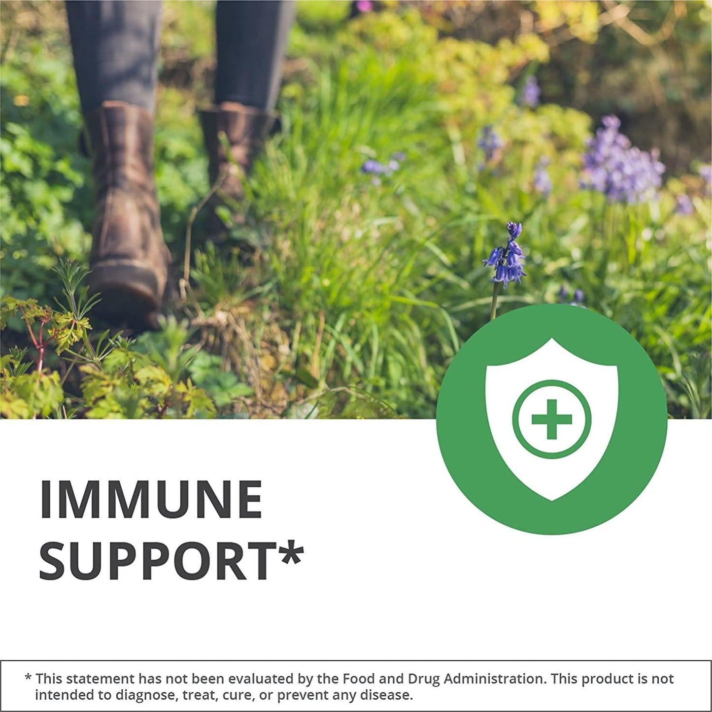 NutraMedix Zinc 50mg - Bisglycinate Chelate Immune, Skin and Antioxidant Support (60 Vegetarian Capsules)