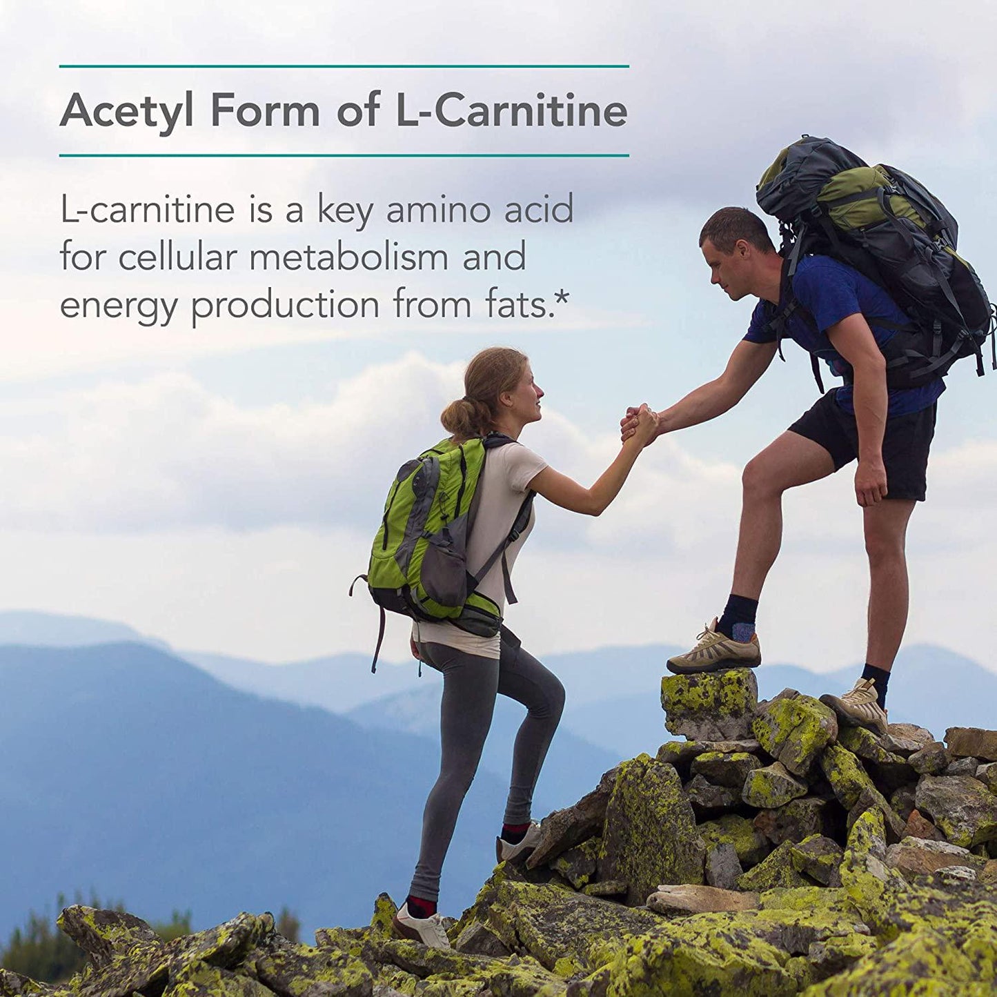 NutriCology Acetyl L-Carnitine 500mg - Metabolism and Energy Support - 100 Vegetarian Capsules