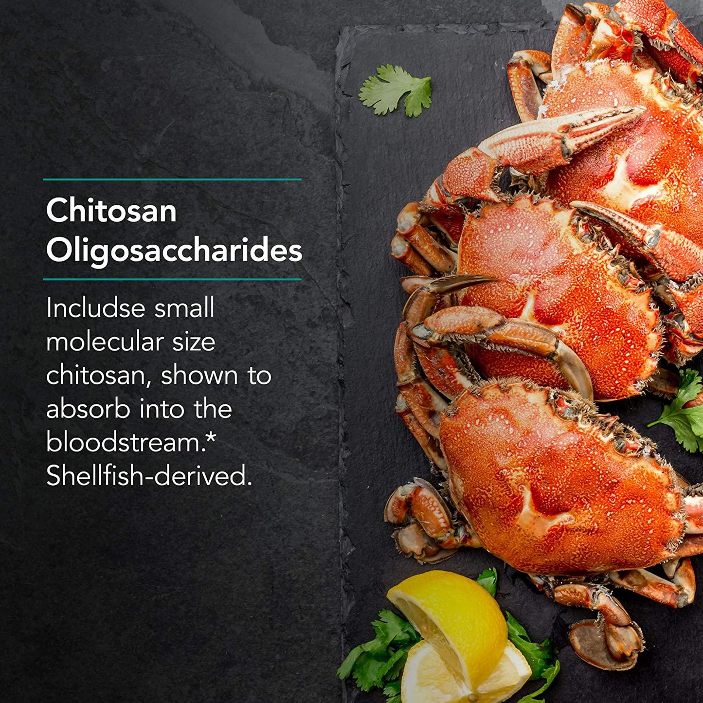 NutriCology MicroChitosan - Small Particle Chitosan from Shellfish - 60 Vegicaps