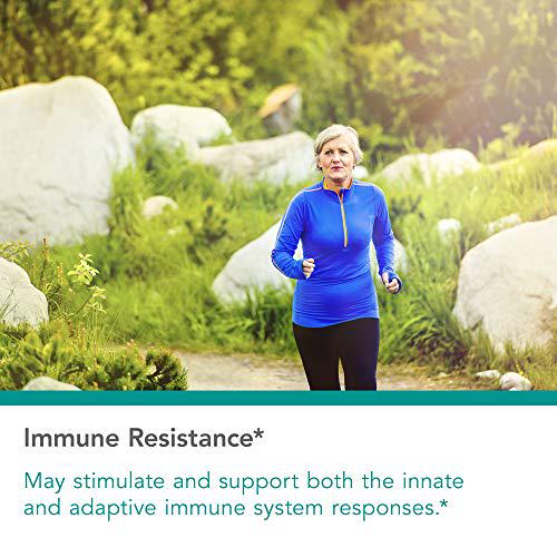 NutriCology Russian Choice Immune Powder - Immune Support, Gut Health - 75 g (2.6 oz)