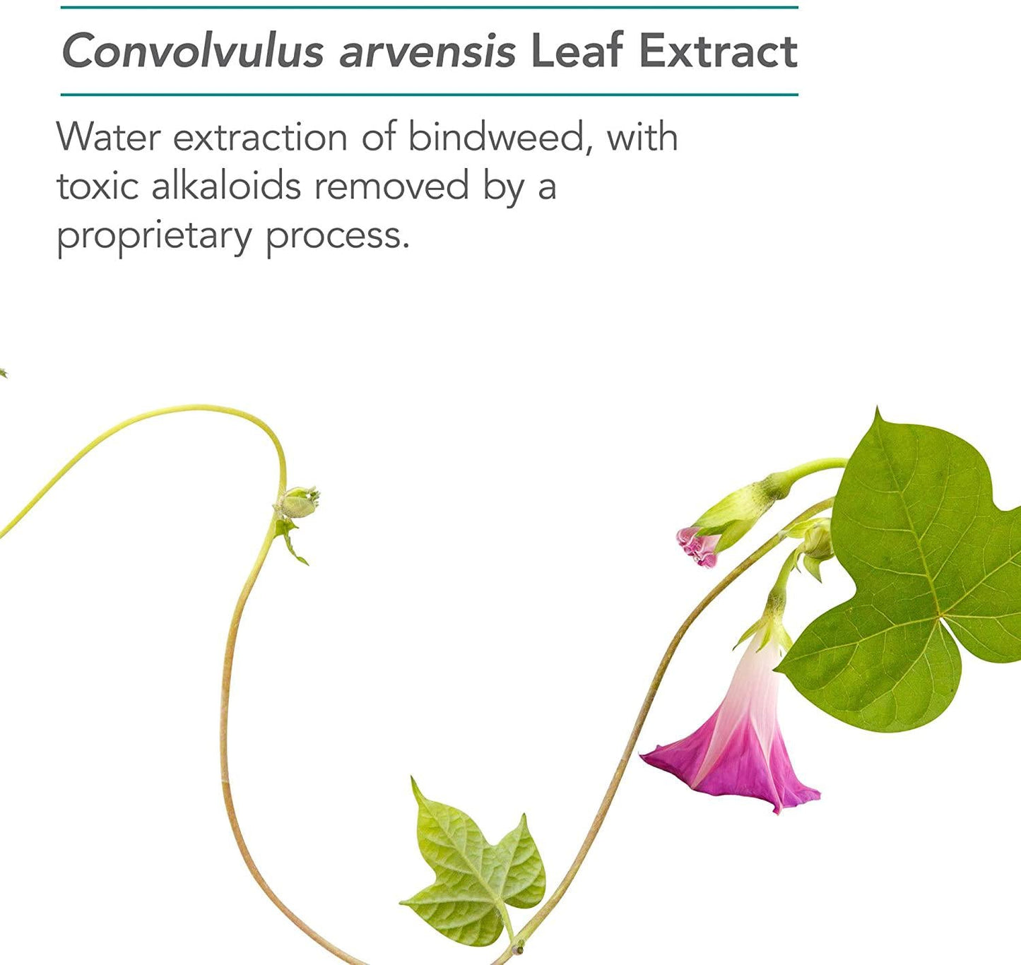 Nutricology Angioblock, Capsules, 120-Count