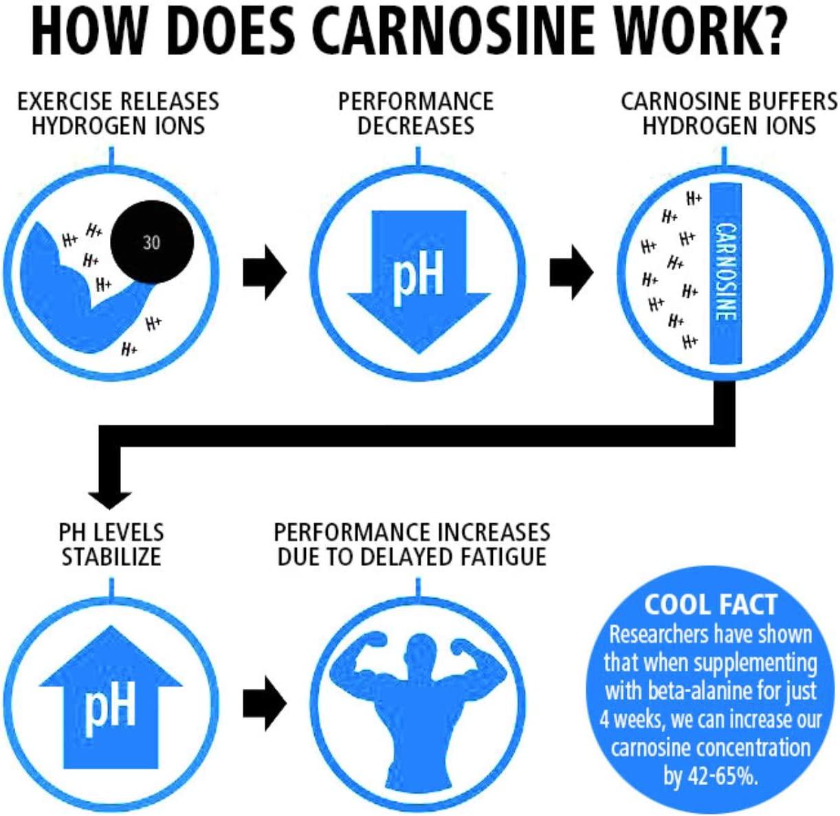 Nutrition Research Group (NRG) Xtreme Shock Elite Xtreme Energy Drink - Alpha GPC for Razor Sharp Focus - Nitric Oxide Formula with Zero Sugar, 350mg Caffeine - 16floz/12pk (Watermelon)