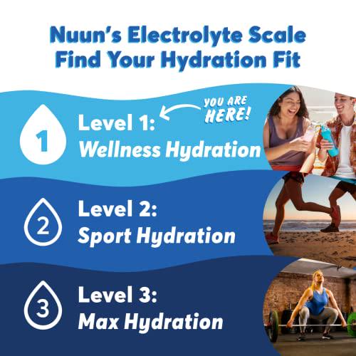 Nuun Daily: Wellness Hydration with Electrolytes, Wild Strawberry, Box of 8 Tubes (80 Count)
