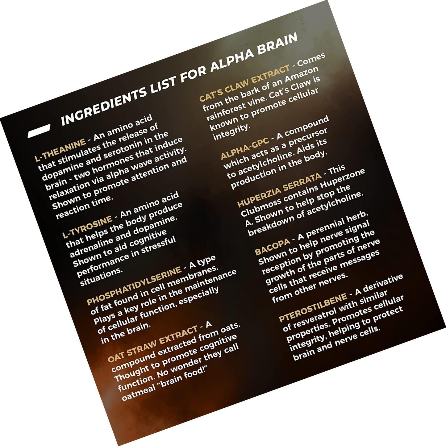 ONNIT Alpha Brain (90ct) - Over 1 Million Bottles Sold - Premium Nootropic Brain Supplement - Focus, Concentration + Memory - Alpha GPC, L Theanine and Bacopa Monnieri