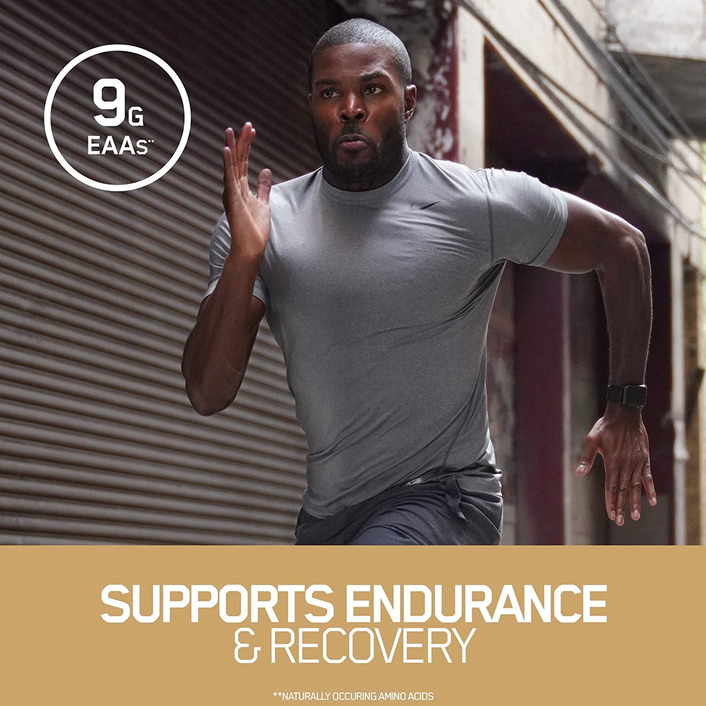 OPTIMUM NUTRITION Gold Standard 100% Casein Protein Powder, Naturally Flavored French Vanilla, 1.81 kg (Pack of 1), 1031836