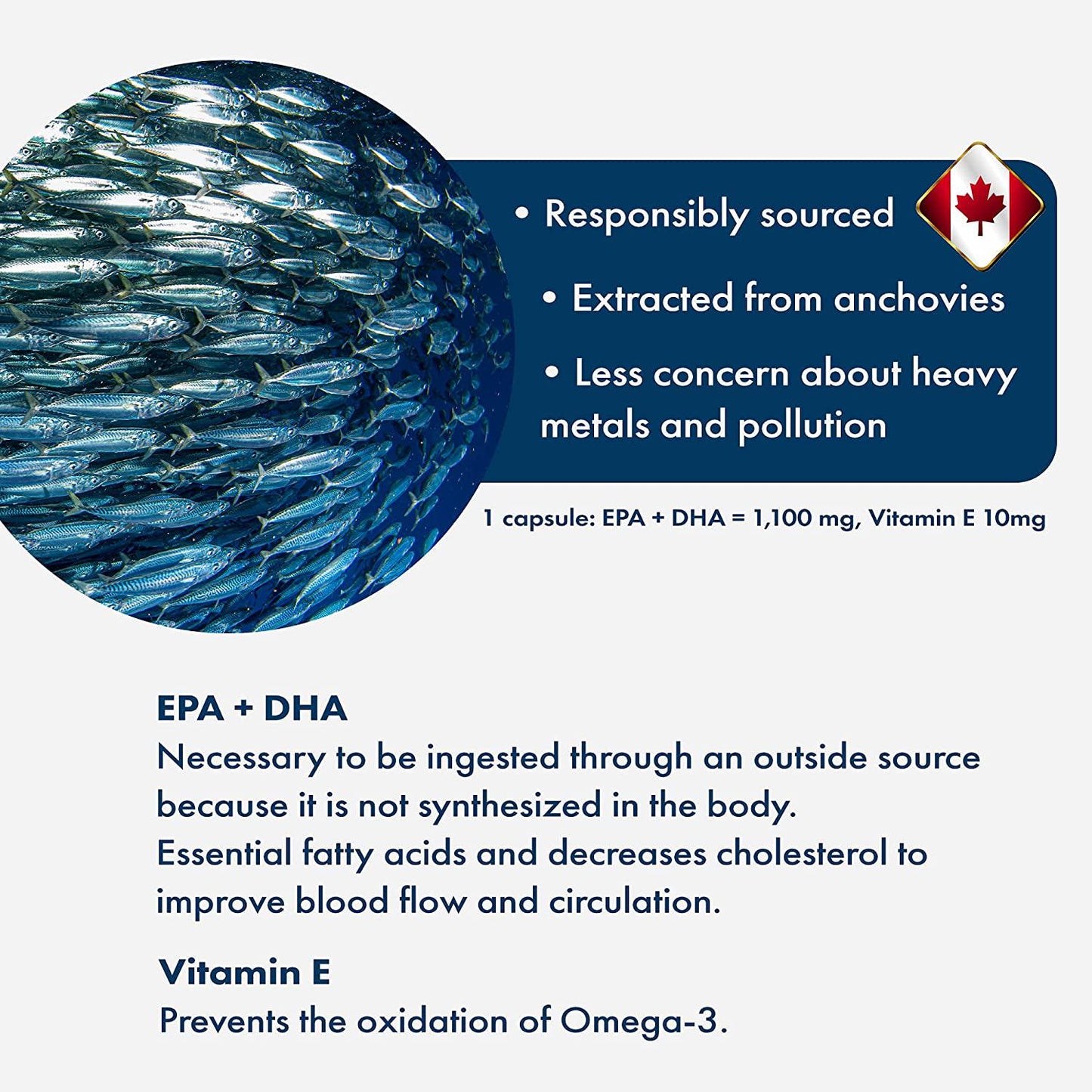 ORONIA rTG Omega 3 + Organic Vitamin E Soft Capsules - 180 Omega 3 Fish Oil with Vitamin E for Eye Health, Brain Growth and Development, Bone and Joint Health - 1100mg EPA and DHA - Made in Canada