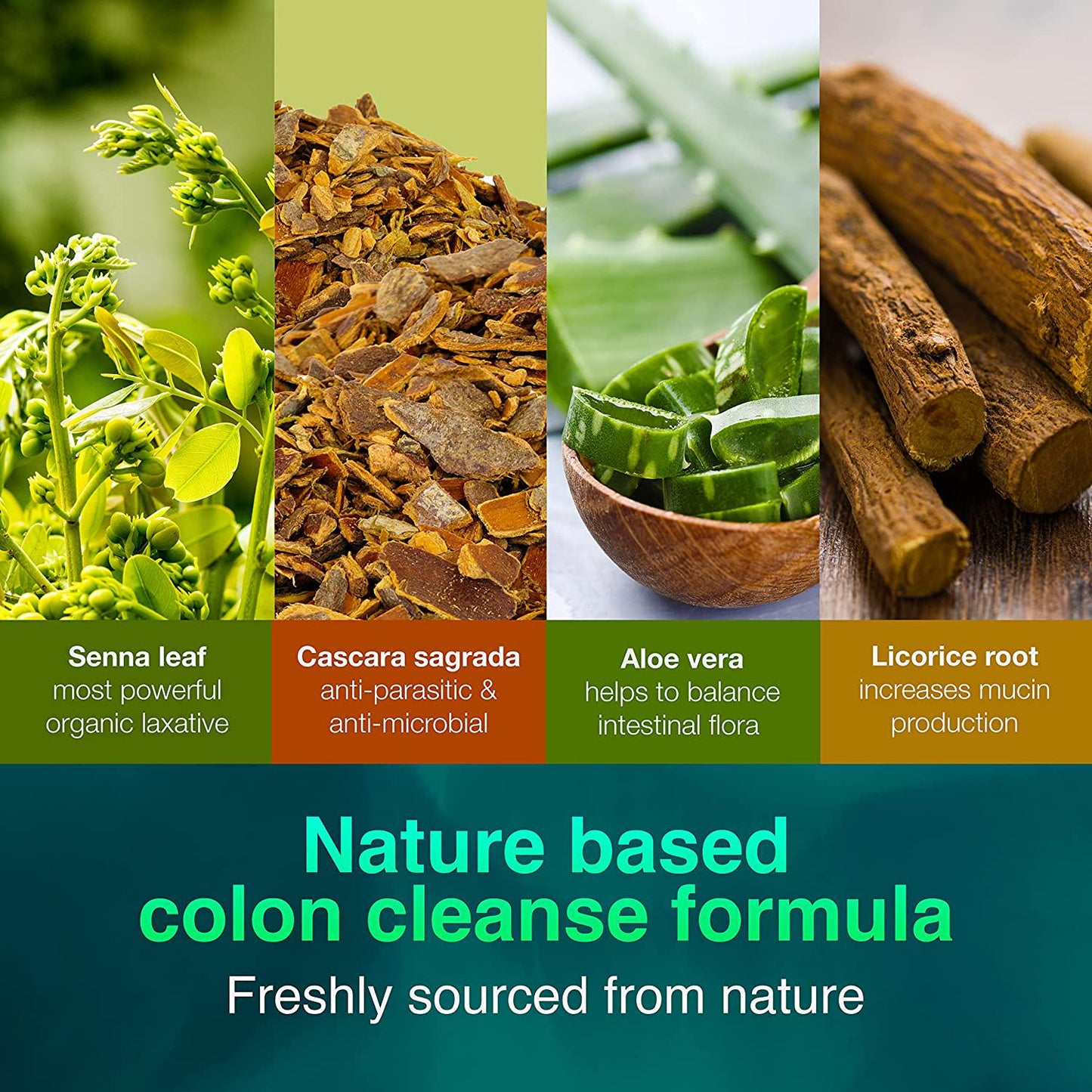 Organia Colon Support - Natural Laxative for Bowel Movement, Constipation Relief and Bloating Support - 30 Capsules - Made in USA, 30 Count (Pack of 1)