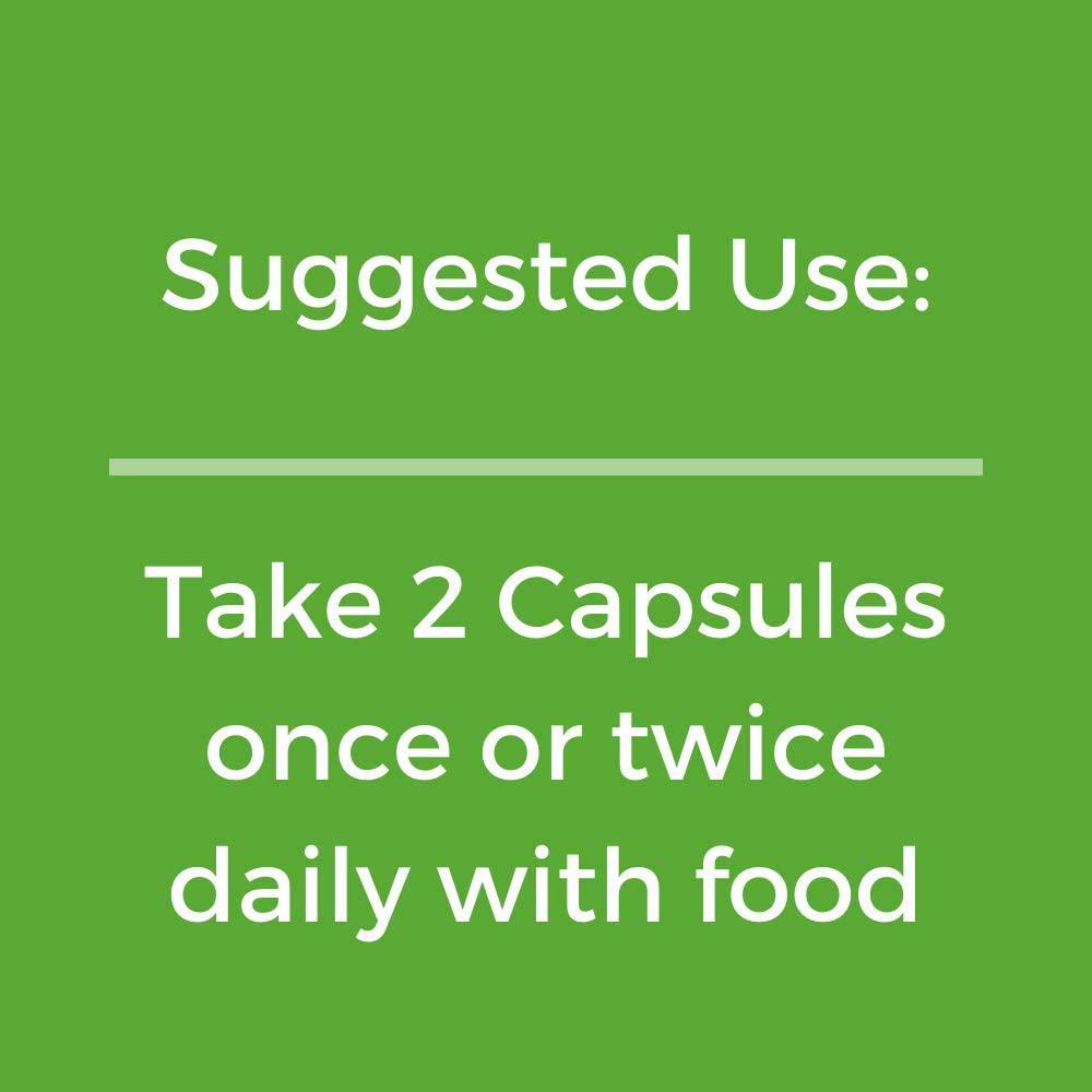 Organic Moringa Oleifera Powder Capsules 1000 mg - Moringa Leaves Green SuperFood Supplement for Men and Women - Gluten Free - Vegan Pills