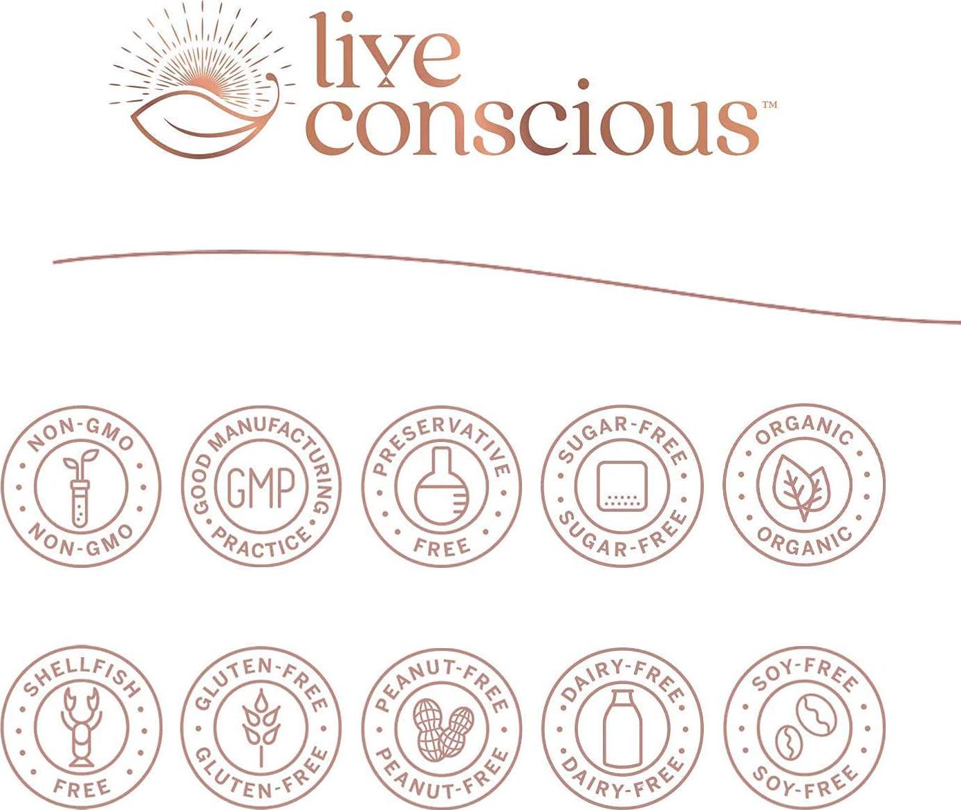 Organic Pea Protein Powder - Vanilla Dream Flavor | Low-carb Plant-Based Vegan Protein Blend - Pea, Brown Rice, Pumpkin, Sacha Inchi | 20 Servings 18.2 oz - by Live Conscious