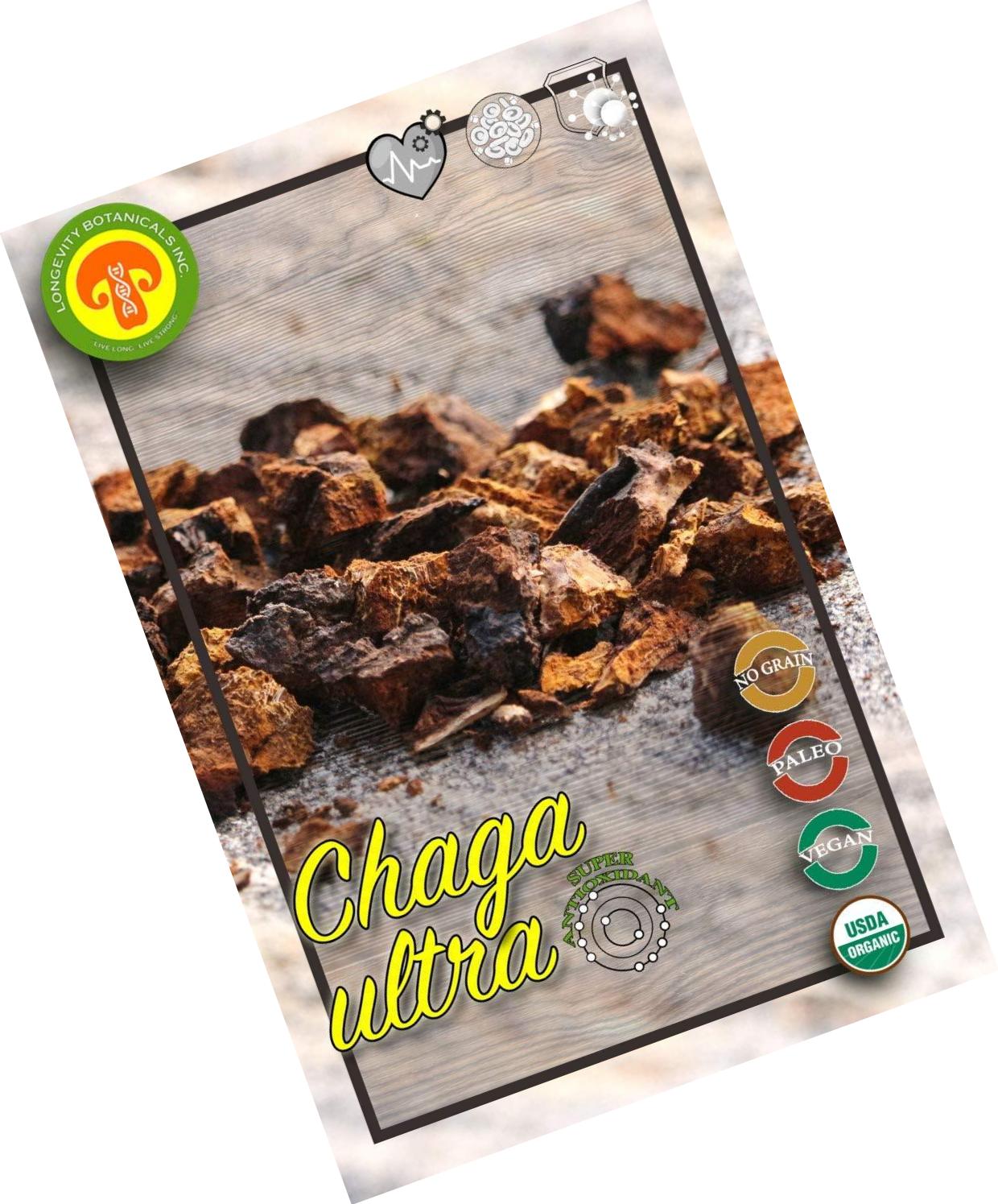 Organic Super Chaga Mushroom Powder Extract: 100 g 100% Wildcrafted Fruiting Body. Small Batch, Produced Fresh. Potent Feel The Difference!