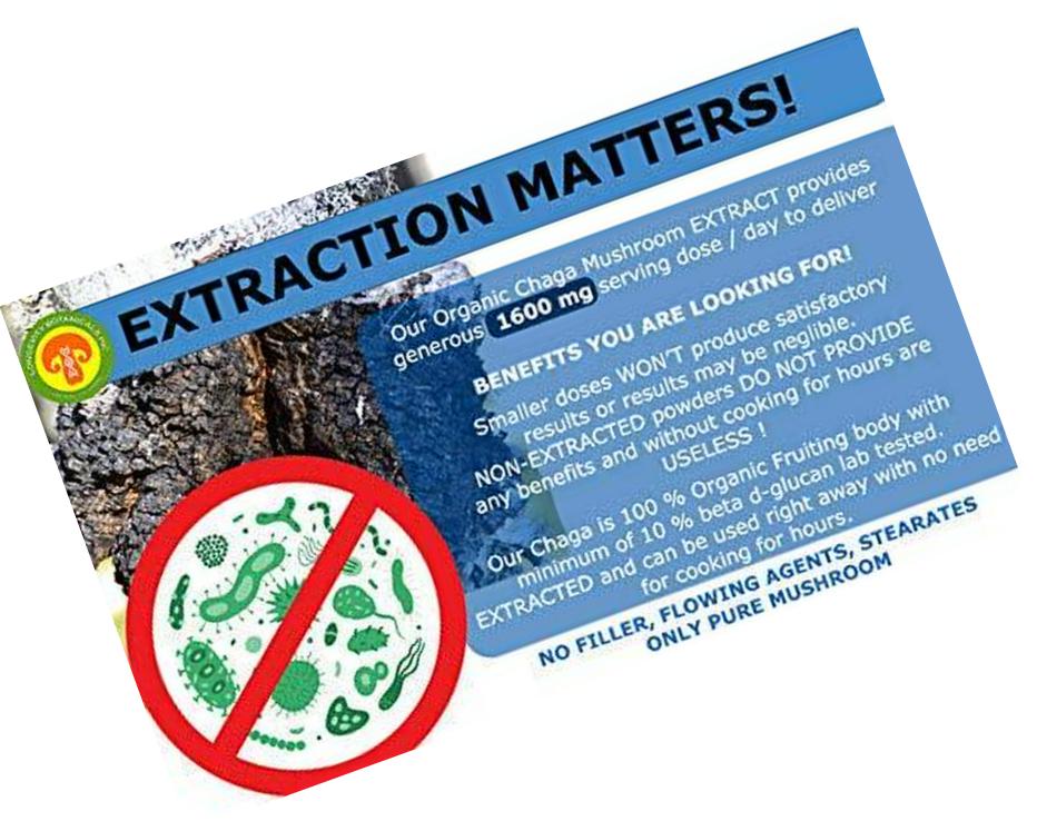 Organic Super Chaga Mushroom Powder Extract: 100 g 100% Wildcrafted Fruiting Body. Small Batch, Produced Fresh. Potent Feel The Difference!