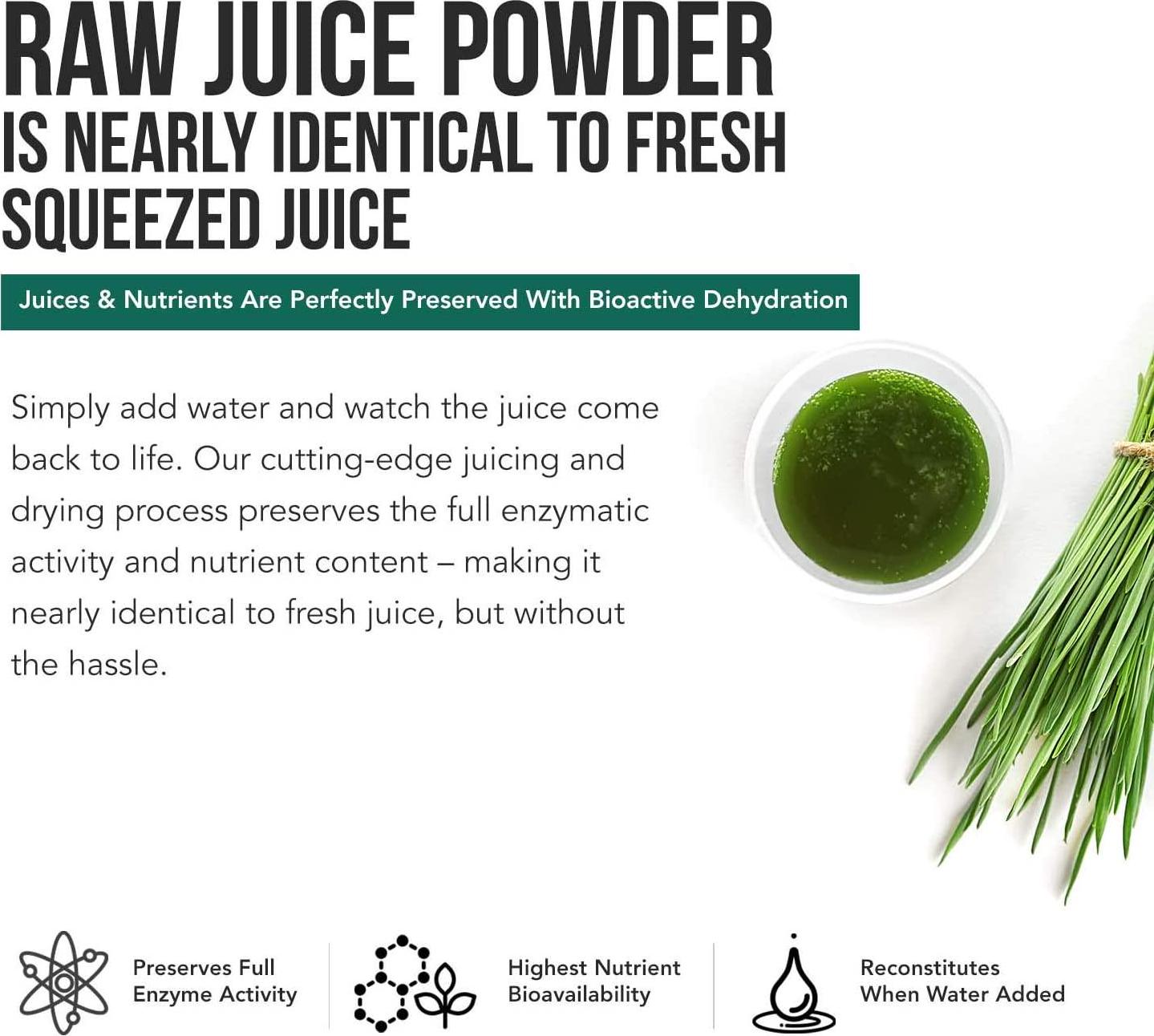 Organic Wheatgrass Juice Powder - Grown in Volcanic Soil of Utah - Raw and BioActive Form, Cold-Pressed Then CO2 Dried - Complements Barley Grass Juice Powder - 5.3 oz