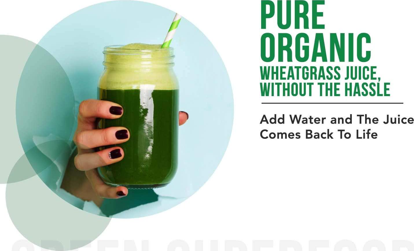 Organic Wheatgrass Juice Powder - Grown in Volcanic Soil of Utah - Raw and BioActive Form, Cold-Pressed Then CO2 Dried - Complements Barley Grass Juice Powder - 5.3 oz