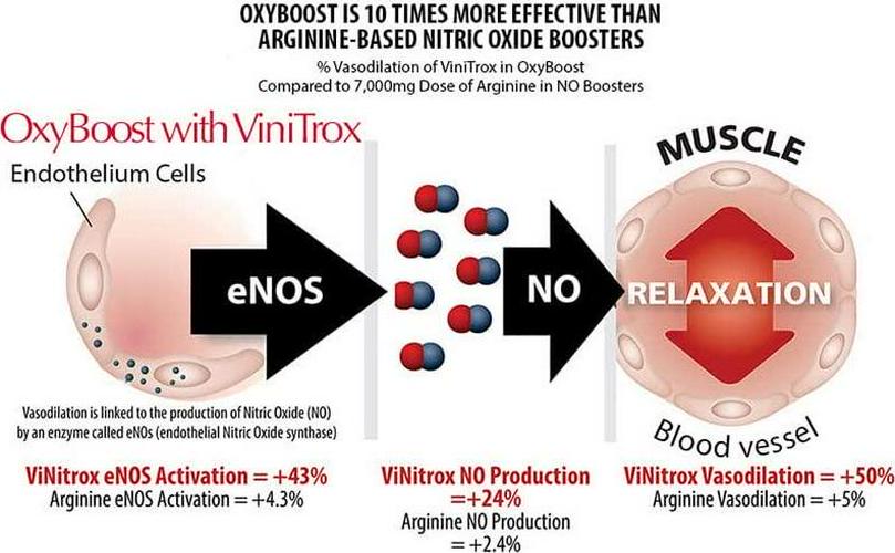 OxyBoost, Nitric Oxide Booster Dietary Supplement, Award-Winning Ingredients, Clinically Proven Ingredients. Increased Blood Flow, Cell Repair, and Energy. Senior Supplement Beet Root. 1 Pack