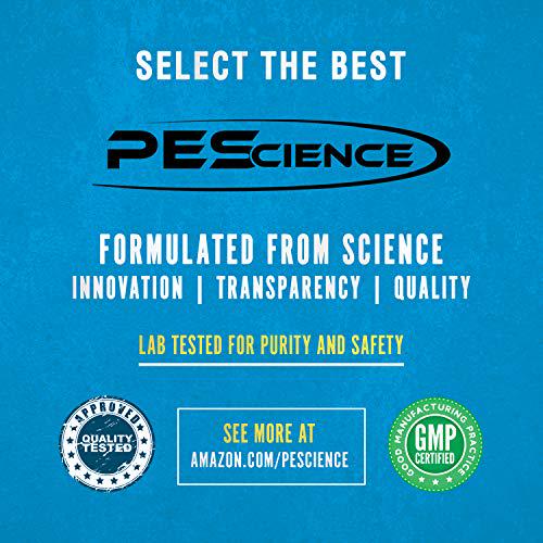 PEScience Select Low Sugar Protein Bar, Chocolate Peanut Butter, Case of 6 Bars, Gluten Free Low Carb