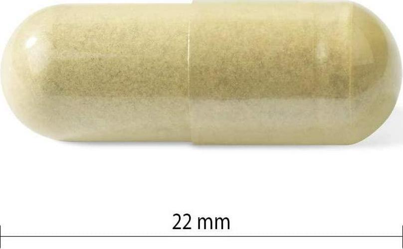 PROGRESSIVE Vitamin C Complex Cp, 120 CT