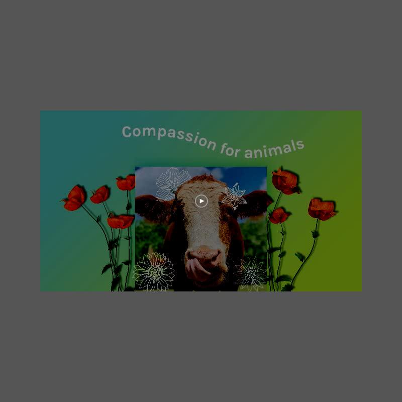 Pacifica Mattify Prep Pineapple and Hyaluronic Facial Mask, 12 Count